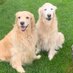 Eileen Caron (@eileencaron7) Twitter profile photo Eileen Caron (@eileencaron7) Twitter profile photo