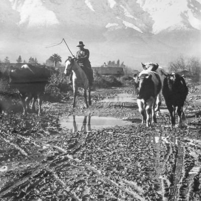 PedroVaras3's profile picture. 