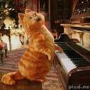 emma_tang - @emma_tang - Twitter