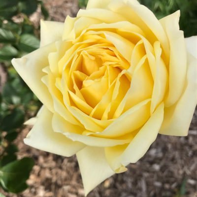 odom_redolf's profile picture. Am glad to be on this site