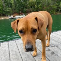 Keith Casey (@kcshark) 's Twitter Profile