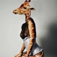 SuperGiraffeGirl (@supergiraffegrl) 's Twitter Profile