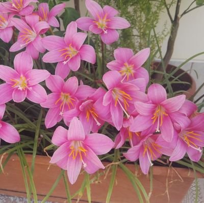 AkadirPeker's profile picture. 