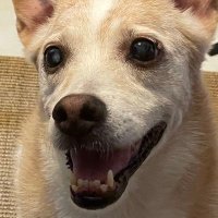 pedro souza (@phgfsouza) 's Twitter Profile