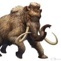 Game Mammoth
