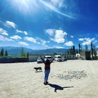 Rohini K (@rohinik_comms) 's Twitter Profile