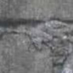 jayalteraccount's profile picture. 