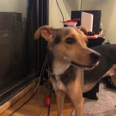 tonithegirl's profile picture. Getting it done.