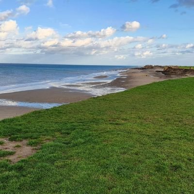 cricketgaluk's profile picture. 