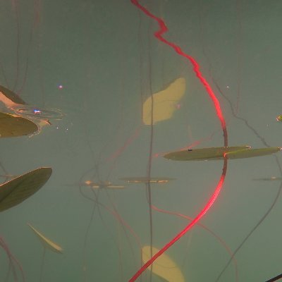 ChristineJasch2's profile picture. digital artist  #vectorart #photography