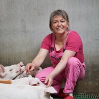Ferme de Kermerrien (@kermerrien) 's Twitter Profile
