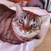 Adrián Moragues Lema (@aml_bass) 's Twitter Profile Photo