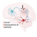 Cancer Neuroscience at Stanford (CNS) (@cancerneurosci) Twitter profile photo Cancer Neuroscience at Stanford (CNS) (@cancerneurosci) Twitter profile photo