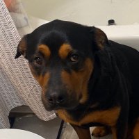 bigg (@collinjames1357) 's Twitter Profile