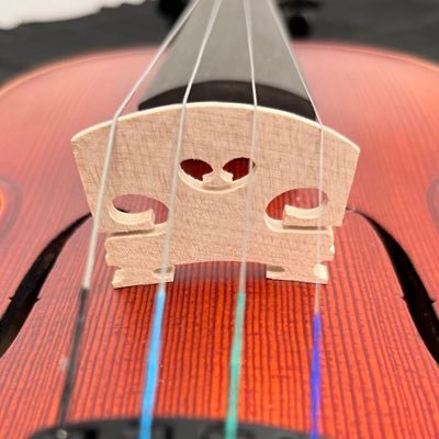 サウンドハウスの公式弦楽器アカウント🎻 バイオリンやコントラバスをはじめ、さまざまな弦楽器情報をツイートしていきます🎶