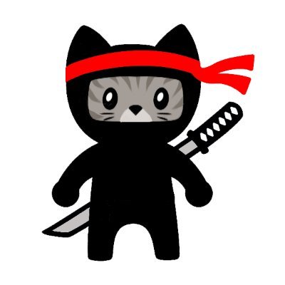 NinjaKittyLife Profile Picture