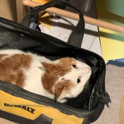 MusicBull2's profile picture. 