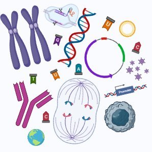 Genetics🧬 Bioinformatics📊🖥️ Machine Learning 🔬💊 Molecular biology🧫🧪 Mitochondrial diseases