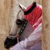 قلم وخاطرة (@dooom99d) Twitter profile photo قلم وخاطرة (@dooom99d) Twitter profile photo