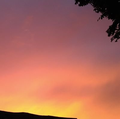 SenorElGrande's profile picture. SavingPlanetEarth fundamentalist. There's just 1 planet.
Always & forever; Overcoming the gangliness of one's own beauty.
Believe that you already have it