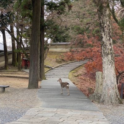 交換などの取引垢になります。