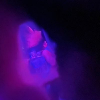 shiteverythng's profile picture. Give the vibes you wanna get.