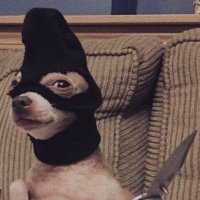 sunoo in your area (@trashurefirst) 's Twitter Profile