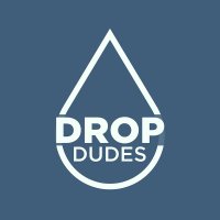 Drop Dudes | DAO (@dropdudesdao) 's Twitter Profile