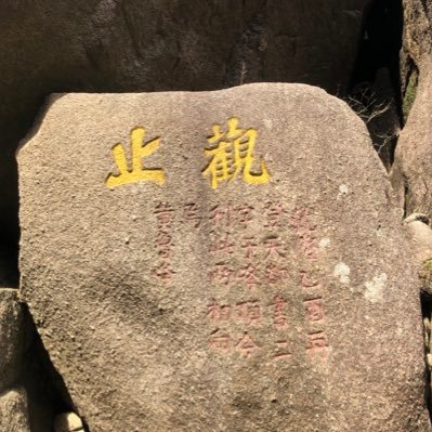 bobcui's profile picture. a rookie