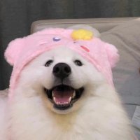 小熊软糖 (@guwei45335569) 's Twitter Profile