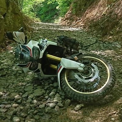 長野県北部 　林道大好き！日頃の運動不足をバイクの引き起こしで補ってます😅CRF1000L、XLR250R（MD22）
無言フォロー失礼します🙏