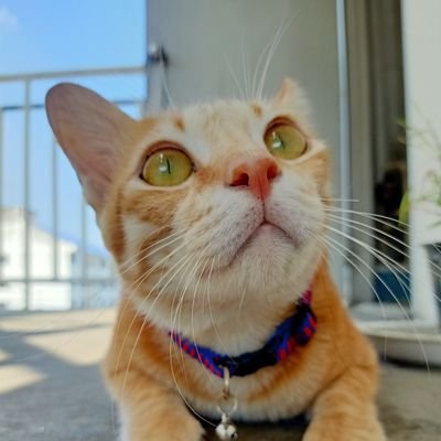 SSittitana's profile picture. 