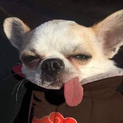YnyYgnmN8lqIpFk's profile picture.