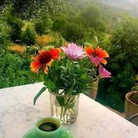 mohameed (@user464144) Twitter profile photo