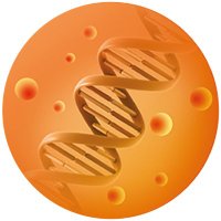 Gennova Bio (@gennovabio) 's Twitter Profile Photo Gennova Bio (@gennovabio) 's Twitter Profile Photo