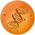 Gennova Bio (@gennovabio) Twitter profile photo Gennova Bio (@gennovabio) Twitter profile photo