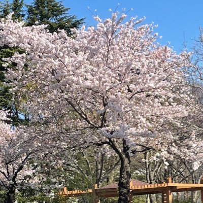 副業不可。ちなみに、元業者DM配信従事あり、お誘いアドはアカごとに変えましょう。無言でフォローしますが無害です…