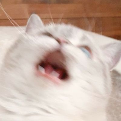 lucid_s_828's profile picture. 홍