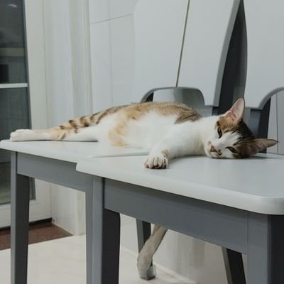 l1030006847's profile picture. 悠悠游游