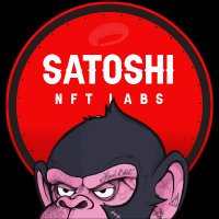 Satoshi Labs 💊(@SatoshiNftLabs) 's Twitter Profileg