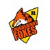 Loughshinny Foxes (@L_foxes2022) Twitter profile photo