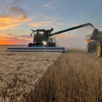 Banker @Bank7 specializing in Ag/Commercial lending | Passionate about farming & all things agriculture | Hunting enthusiast