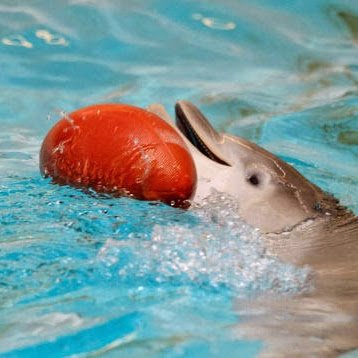 ilias3210's profile picture. im going to sex yuou're mother
Twitter Artists biggest Supporter
Frogs, Aliens and Birds are cool. AND BEES, and Bees....