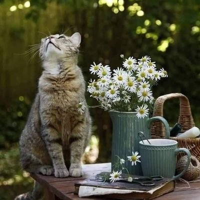 JaneAus87650995's profile picture. 