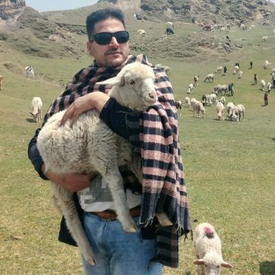 KhalilKohli1's profile picture. KHALIL KOHLI