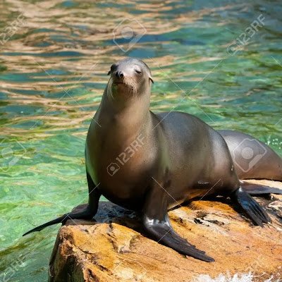 MorskoyKot4's profile picture. 