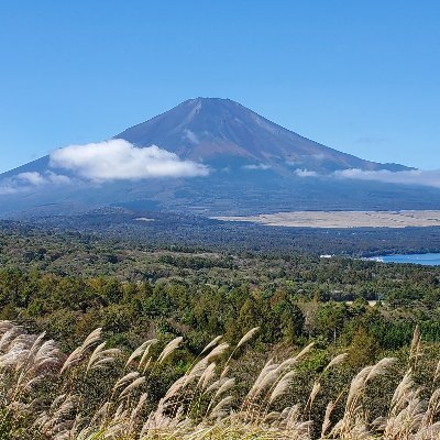 小さなクリニックを開業してもう27年。今年古希を迎えた産婦人科医です。
コロナワクチン後遺症外来で「BIG療法」を中心に治療を行っています
受診目的以外の当院への電話相談は一般診療の妨げとなりますのでお控えください。また受診を希望される方は、HPの問い合わせから接種歴や症状の経過をあらかじめお知らせください