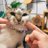 littleflower_29