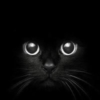 Catarina de Faria (@c_defaria) 's Twitter Profile Photo Catarina de Faria (@c_defaria) 's Twitter Profile Photo