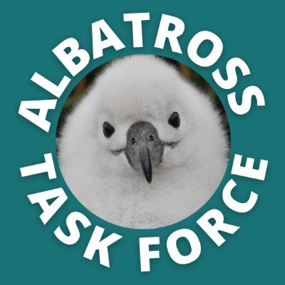 World's First International Team dedicated to reducing #albatross #bycatch by collaborative work in #fisheries. Host of the 1st #AlbatrossWorldCup